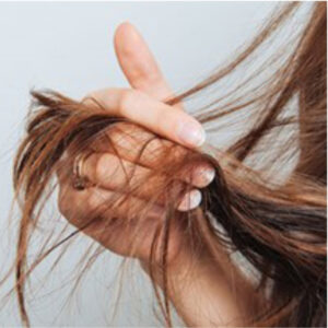 Genvind sundheden i dit hår: Sådan genopbygger du tørt og skadet hår med INsight Rebuild- Hudog hårpleje
